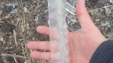 Зледеніння проводів у Миколаївській області