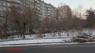 Одна з численних куп сміття та опалого листя в Корабельному районі в Миколаєві