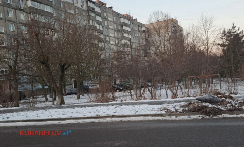 Одна з численних куп сміття та опалого листя в Корабельному районі в Миколаєві