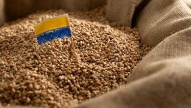 торгівля зерном