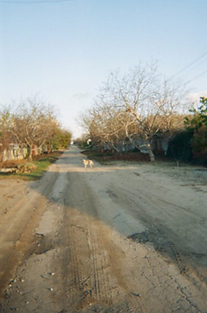 фото Юлі з Лупарево