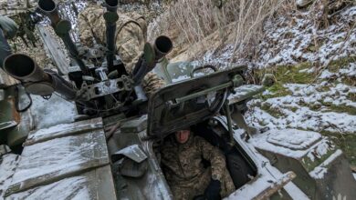 Зенітна установка "Дейнеріс"