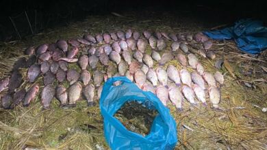 Вилов браконьєрів