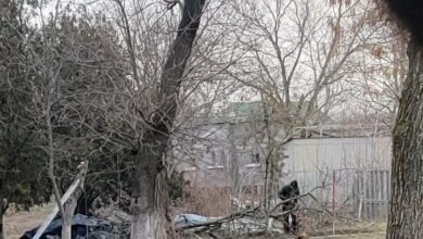 Зрубують дерева біля ПК "Корабельний"