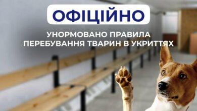 тварини в укритті