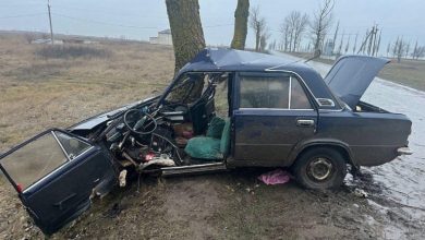 У Миколаївському районі ВАЗ врізався у дерево