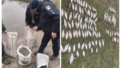 На Миколаївщині викрили двох браконьєрів