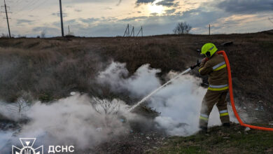 ДСНС загоряння сухої трави