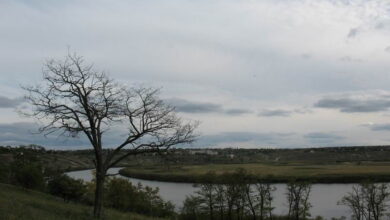 ландшафтний заказник