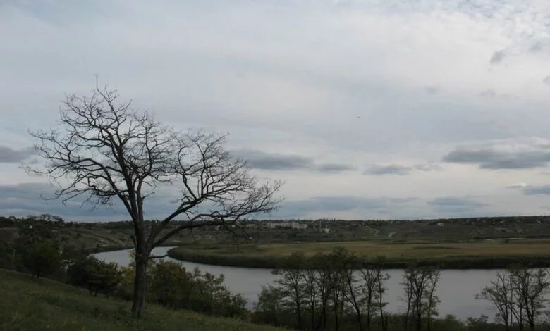 ландшафтний заказник