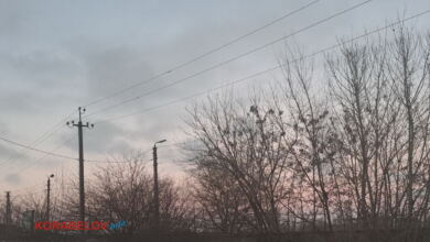 Корабельный район