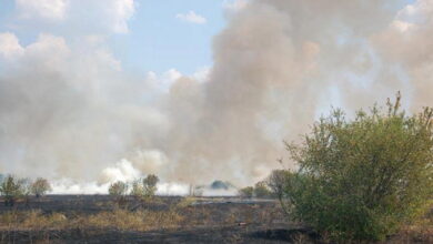 возгорання сухої трави