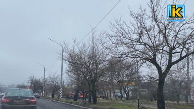 пр. Богоявленський