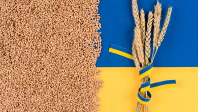 Зернова угода