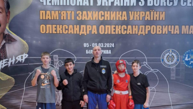 Миколаївський боксер