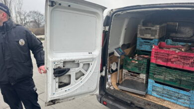 Незаконно перевозив рибу