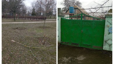 Підлітки зомали молоді дерева, та заховались в будинку