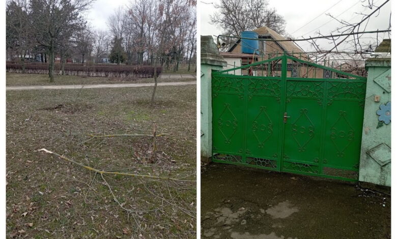 Підлітки зомали молоді дерева, та заховались в будинку