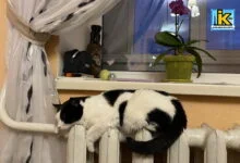 Опалення