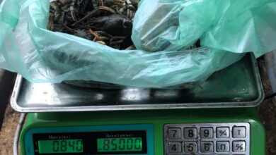 Продаж раків