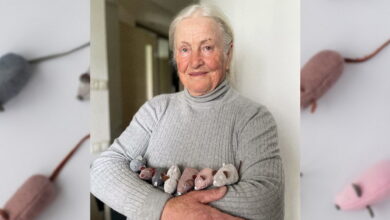 Ганна Іванівна