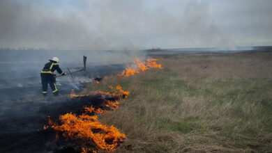 Пожежа на полі
