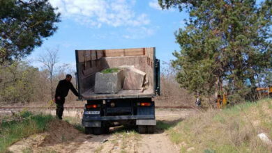Бетонні бар'єри для лісу