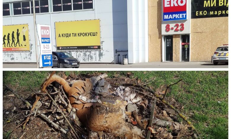 дохла собака навпроти супермаркету