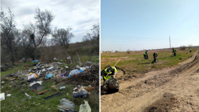 Сміттєзвалище у Миколаєві майже за рік знищено