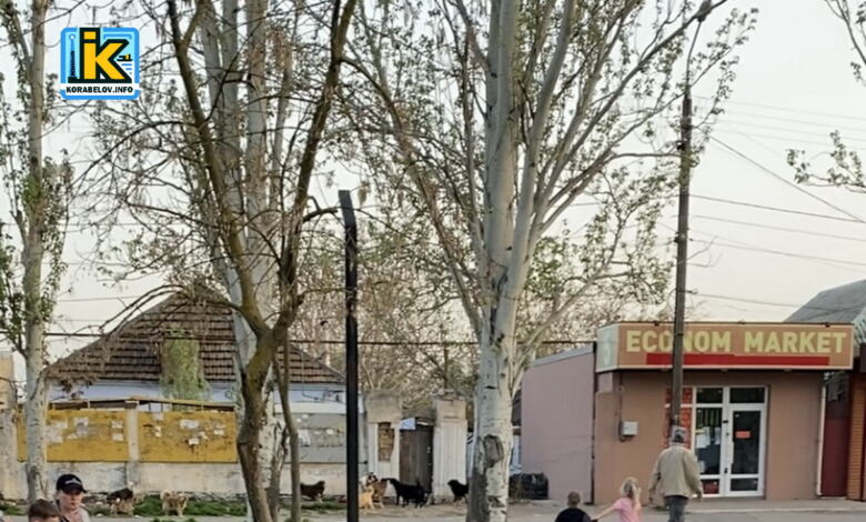 Вул. Попеля в Миколаєві