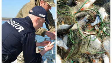 Профілактичні заходи «Нерест»