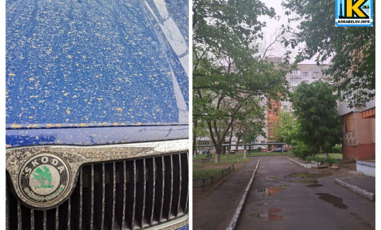 "Болотний" дощ