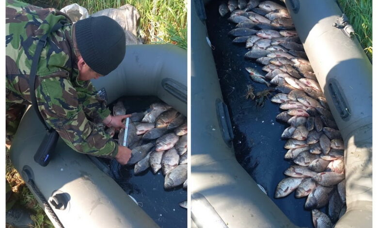 Браконьєрство