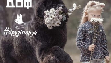 Благодійний захід на підтримку Ріми Макарової
