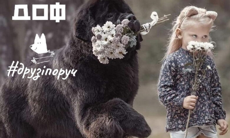 Благодійний захід на підтримку Ріми Макарової