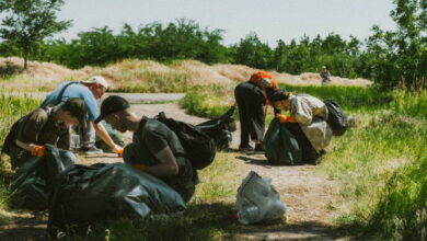 Толока у парку «Дружба»