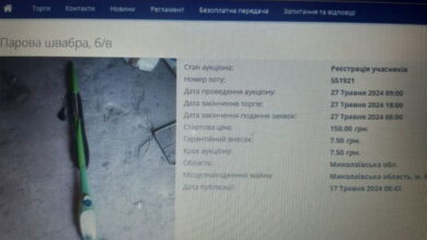 Парова швабра