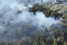 Масштабна пожежа в Балабанівському лісі
