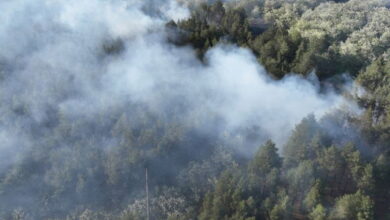 Масштабна пожежа в Балабанівському лісі