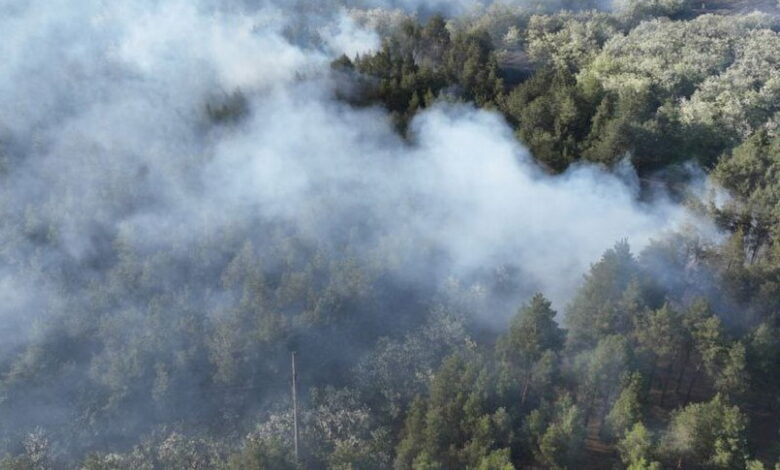Масштабна пожежа в Балабанівському лісі