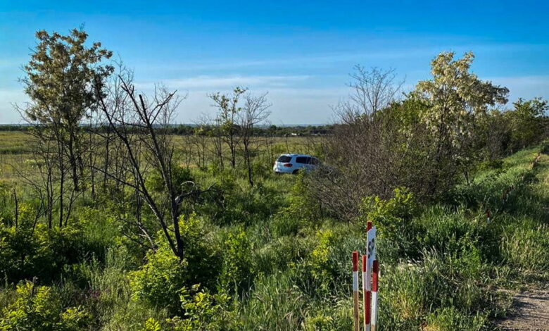 допустив з'їзд у кювет