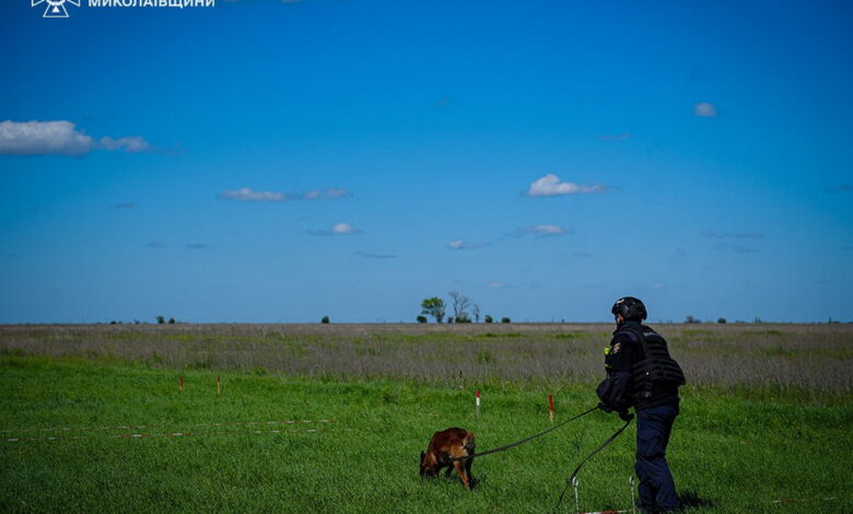 Сапери-кінологи