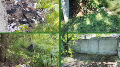 Сміттєзвалища в парку «Дружба»