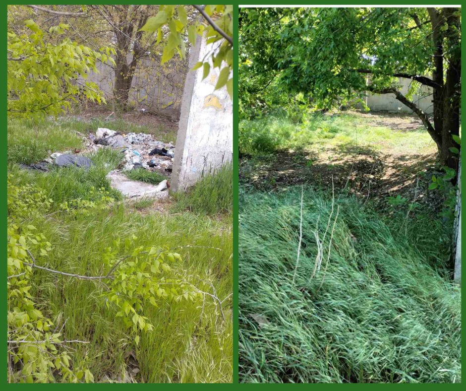 Сміттєзвалища в парку «Дружба»