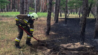 Пожежа в Балабанівському лісі