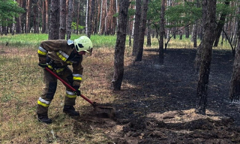 Пожежа в Балабанівському лісі