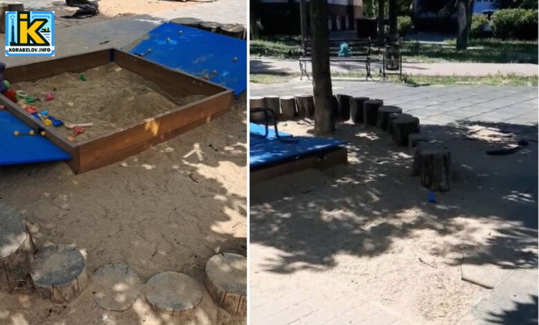 Великі комахи на дитячому майданчику