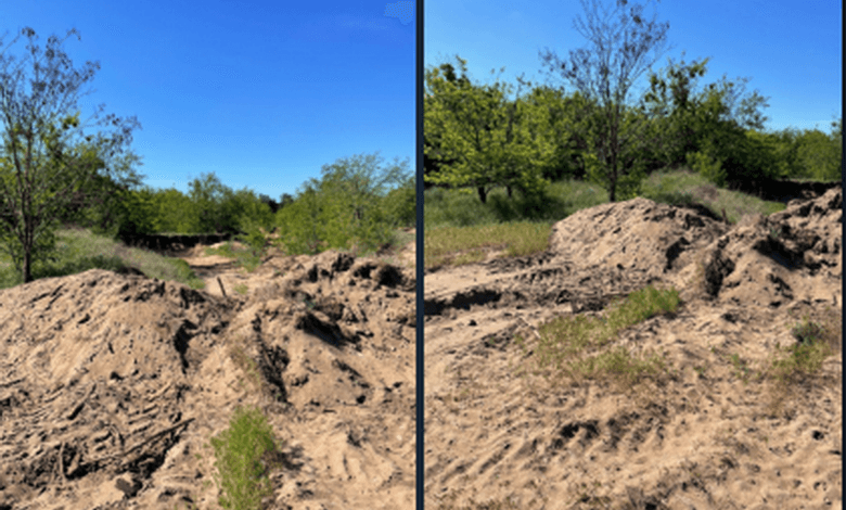 Балабанівський ліс в Корабельному районі