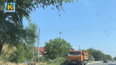 Балабанівка, санітарний рейд