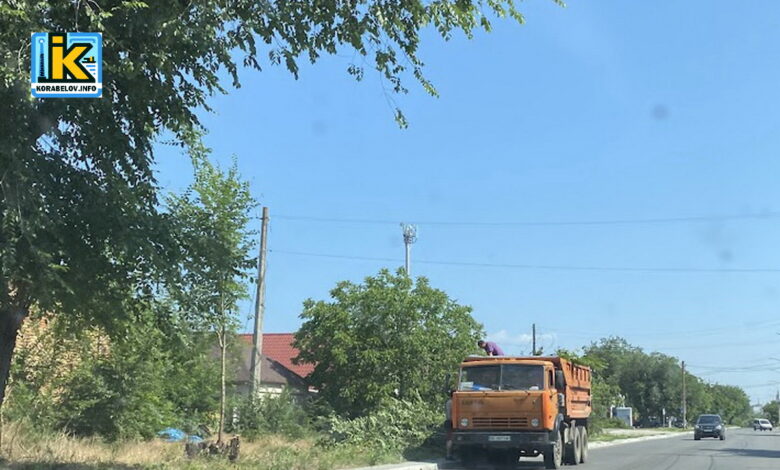 Балабанівка, санітарний рейд